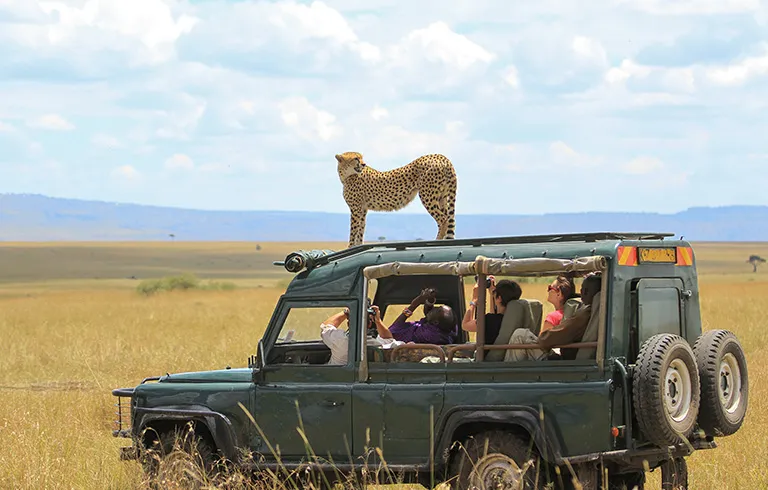 Lakes Manyara, Serengeti & Ngorongoro