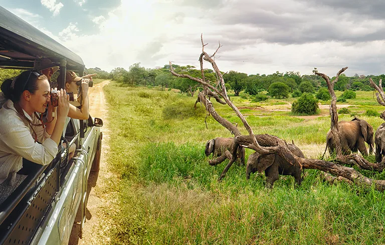 Nairobi & Masai Mara