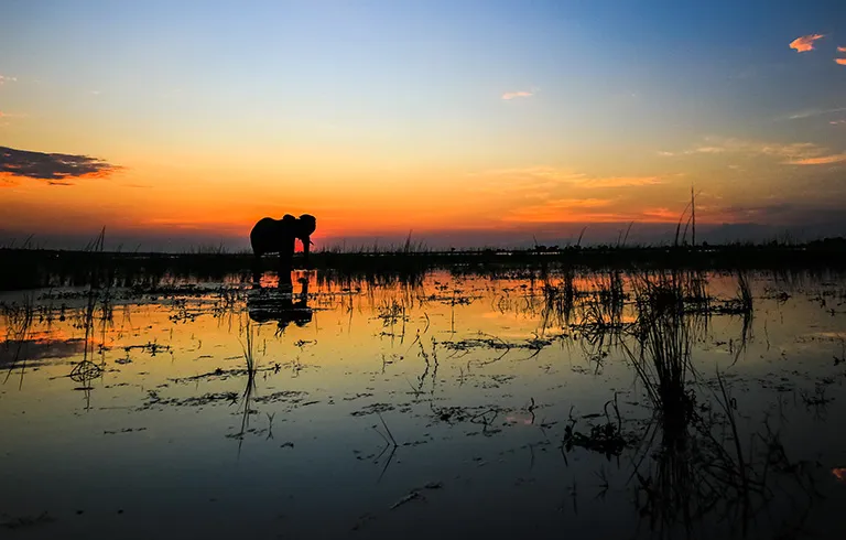 The Lakes & Masai Mara