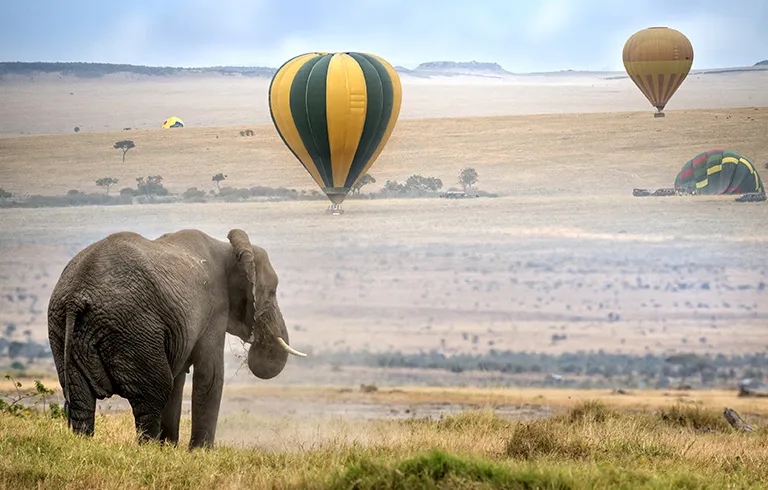 Arusha, Lake Manyara & Ngorongoro